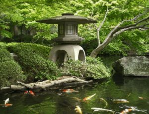 Asian beauty - japanese garden.jpg